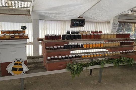 Tour image 7